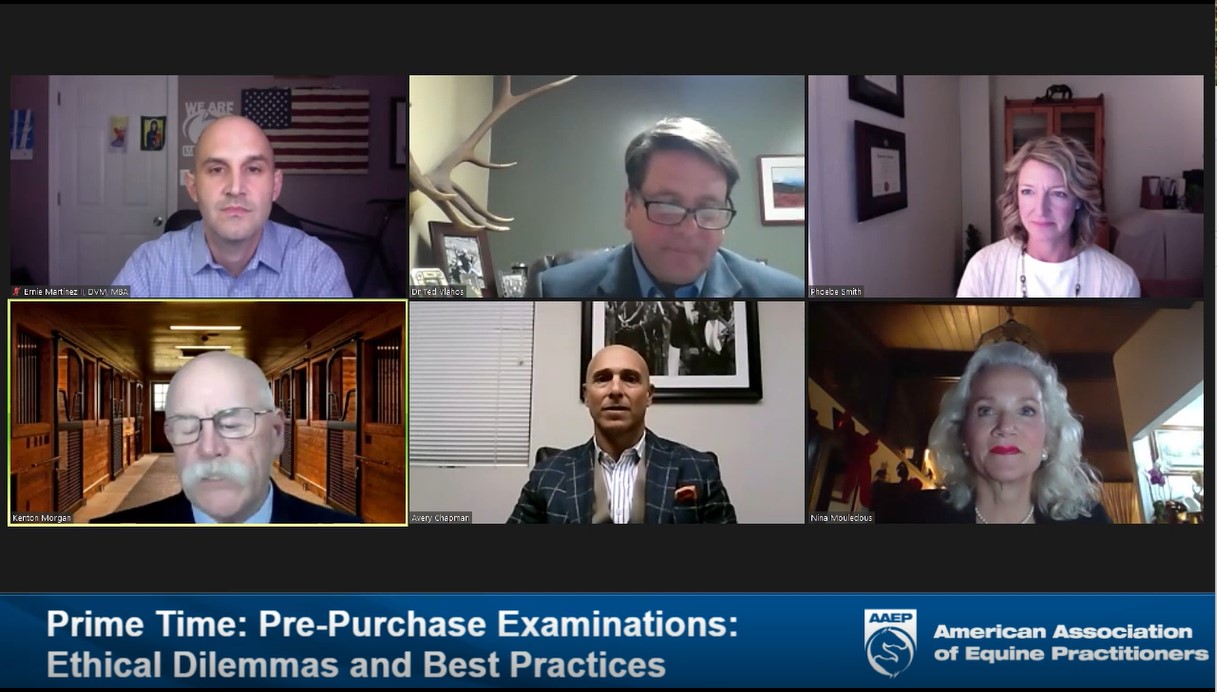 Pre-purchase exams: Ethical dilemmas and best practices