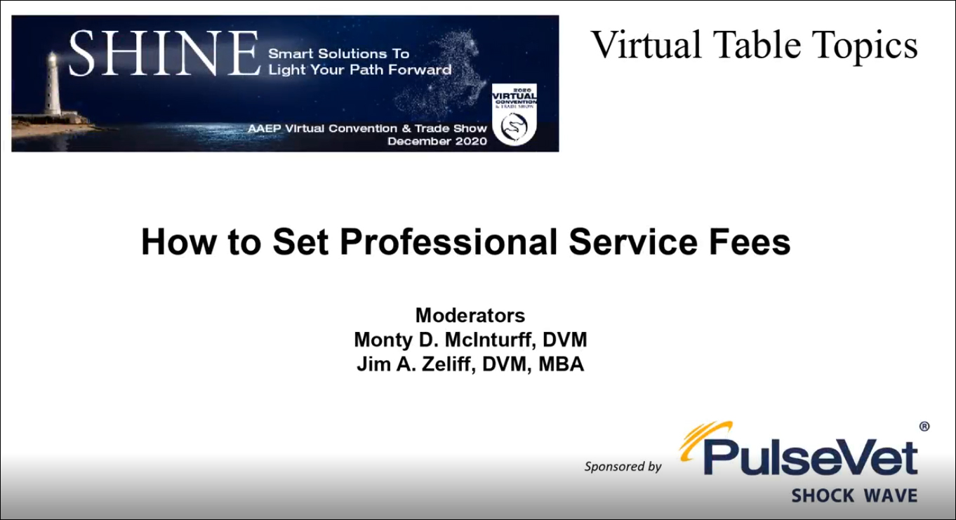 How to Set Professional Service Fees
