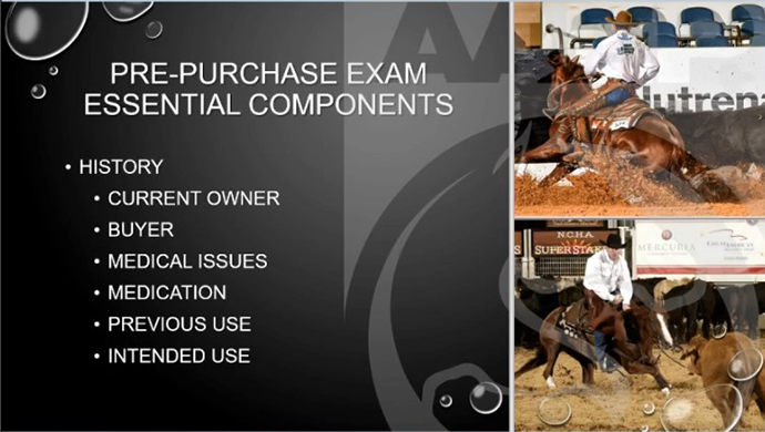 Essential components of the western horse pre-purchase exam