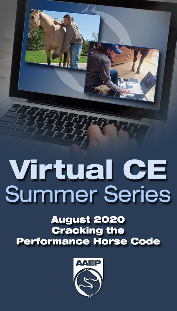 Virtual CE Summer Series